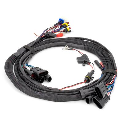 ISO9001 Certified Golf Cart Wire Harness with 1 Year Warranty and 15-20 Days Delivery for Audio Systems